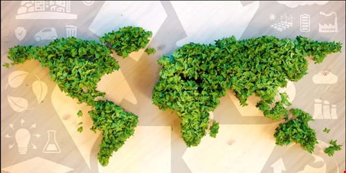 Microbiology Research Furthers Understanding of Ocean’s Role in Carbon Cycling